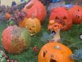IMG-20230927-WA0002
