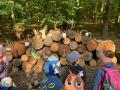 IMG-20231012-WA0061