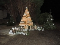 DSCN2956