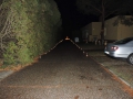 DSCN2981