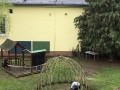 image1-1