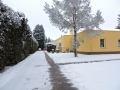 DSCN6314